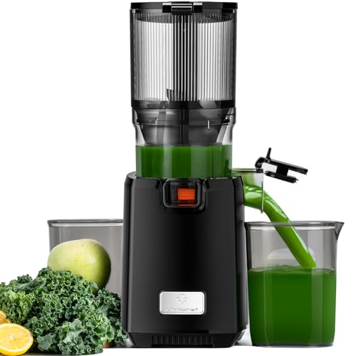 LINKChef Entsafter Slow Juicer, 130MM Öffnung und 1,8L Entsafter für Ganze Gemüse und Obst, Juicer Machine Testsieger mit Umkehrfunktion, Einfache Installation, Leicht zu Reinigen, 100% BPA Frei, 250W